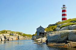 Ropa cały czas tanieje. Benzyna niekoniecznie